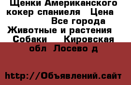 Щенки Американского кокер спаниеля › Цена ­ 15 000 - Все города Животные и растения » Собаки   . Кировская обл.,Лосево д.